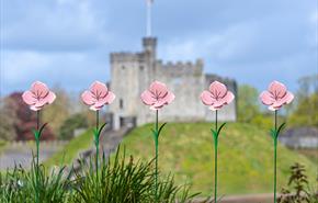 Metal pink poppies at Cardiff Castle